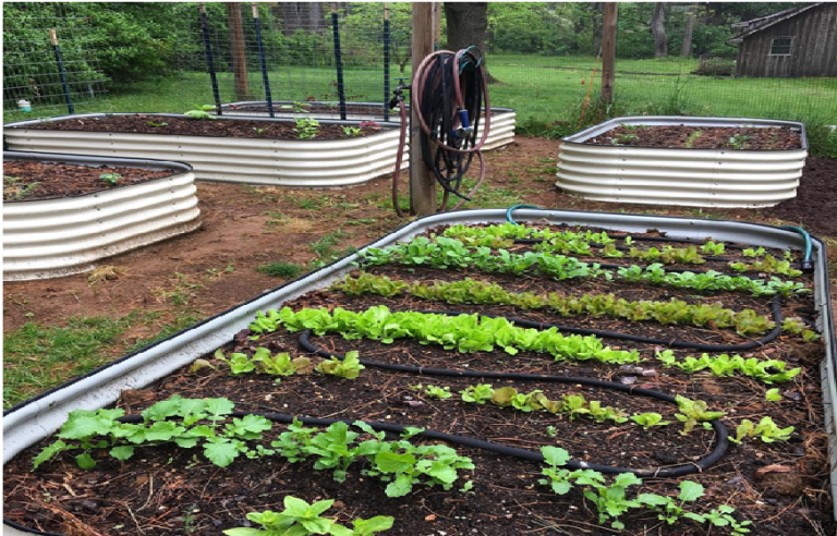 Garden Bed