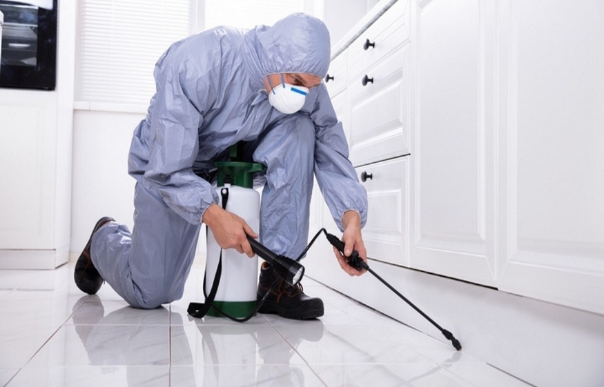home inspections for pests